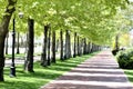Park in spring Royalty Free Stock Photo