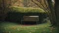 Park in Spring with Wooden Bench. Beautiful Scenic