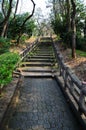 Park Stairs