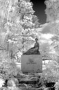 Park statue, IR