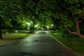 Park with street lights in Piestany Slovakia in night with no