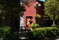 Park in Summer in Downtown Eugene, Oregon Royalty Free Stock Photo