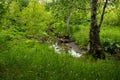 Park summer landscape picnic area, paths, river