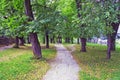 Park in summer with lookout