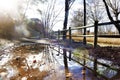 Park sunset.Reflections on water puddle