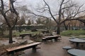 park, surrounded by devastation and debris from the storm, with broken trees and toppled picnic tables