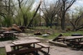 park, surrounded by devastation and debris from the storm, with broken trees and toppled picnic tables