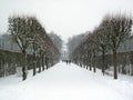 The park surrounding the Catherine Palace, in Tsarskoye Selo Pushkin, Saint Petersburg, Russia, in wintertime Royalty Free Stock Photo