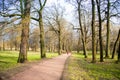 Park with tall trees, green grass and path, blue sky, people in the distance Royalty Free Stock Photo