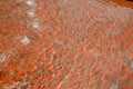 In the park there is a paddling pool for children with clean filtered water. The surface of the pool tank is painted with cement