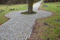 In the park there is a path surrounding a tree growing directly in the compositional axis of the historic garden. The cobblestones Royalty Free Stock Photo