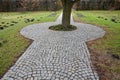 In the park there is a path surrounding a tree growing directly in the compositional axis of the historic garden. The cobblestones