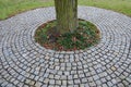 In the park there is a path surrounding a tree growing directly in the compositional axis of the historic garden. The cobblestones Royalty Free Stock Photo