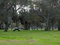 Park to enjoy with the family Royalty Free Stock Photo