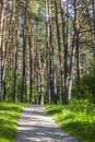 Park in the Tomskaya Pisanitsa Museum-Reserve. Kemerovo region, Russia