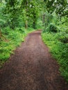 Park trail in camas washington