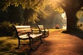 Park tranquility, two benches bask in the warm embrace of sunlight