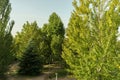 Park with trees and benches along riverbank Royalty Free Stock Photo