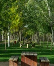 Park with trees and benches along riverbank Royalty Free Stock Photo