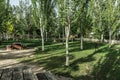 Park with trees and benches along riverbank Royalty Free Stock Photo