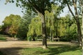 Park with trees and benches along riverbank Royalty Free Stock Photo