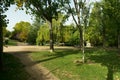 Park with trees and benches along riverbank Royalty Free Stock Photo