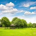 Park trees green grass blue sky. Garden. Golf field Royalty Free Stock Photo