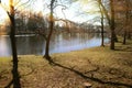 Park trees at the river the morning rays of the sun warm spring earth Royalty Free Stock Photo