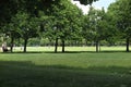 PARK WITH TREES Royalty Free Stock Photo