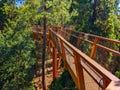 Park Treetop Walkway Serralves Porto