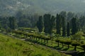 Dam Park at Krishnagiri.