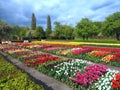 Park with tulips field at the German water castle Schloss Dycki in spring