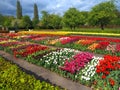 Park with tulips field at the German water castle Schloss Dycki in spring