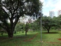 Park vegetation in a big city [ecological park - a place of great beauty and peace]