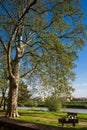 Park of the Viale delle Piagge an street located on the eastern outskirts of the city along the right bank of the Arno