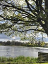 Park views overlaping the loch