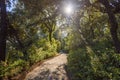 A path in the Park of Villa Pallavicini, Genua