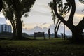 A park visitor stroll slowly with head looking down at Bedok Reservoir park during evening sunset.