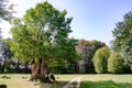 Park von Muskau, Muskauer Park lub FÃÂ¼rst-PÃÂ¼ckler-Park, Park MuÃÂ¼akowski