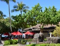 Park in Waikiki Beach on the Island Oahu, Honolulu, Hawaii Royalty Free Stock Photo