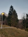 Park Wald Baum Lampe