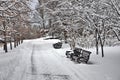 Park walkway, benches, trees in the snow Royalty Free Stock Photo