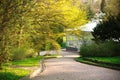 Park walkway in summer botanical garden