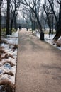 Park walkways Royalty Free Stock Photo