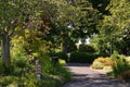 Park at the Willamette River in the Town Corvallis, Oregon Royalty Free Stock Photo