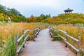 Park at Wolmido island in Incheon, republic of Korea