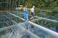 Tourists enjoying the amazing glass floor Bridge high above the jungle
