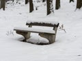 Park bench in winter Royalty Free Stock Photo