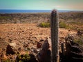 Parke Nacional Arikok Aruba Royalty Free Stock Photo