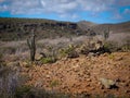 Parke Nacional Arikok Aruba Royalty Free Stock Photo